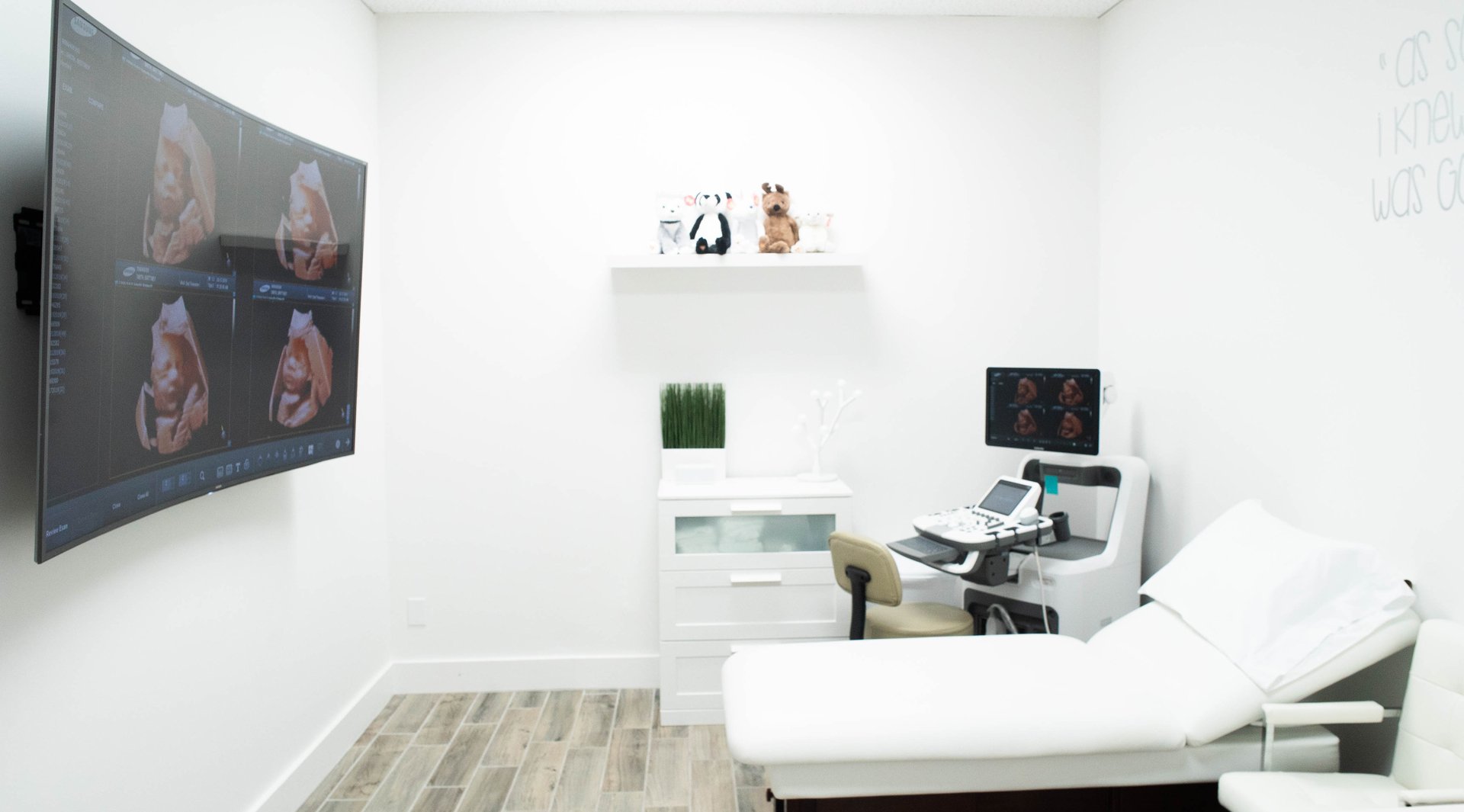 Columbus Little Bellies Ultrasound 2D 3D 4D 5D HD Pregnancy Spa